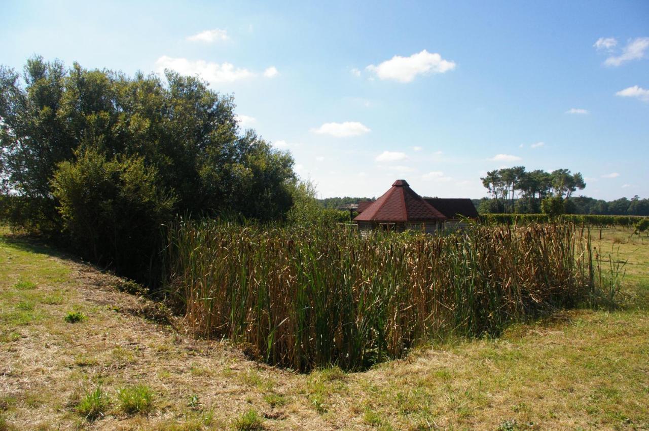 Village Privatise De Cabanes Insolites D'Ananda Ma Saint-Aubin-de-Lanquais Eksteriør bilde